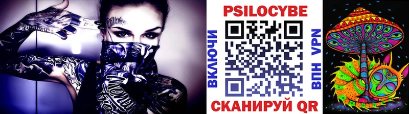 Псилоцибиновые грибы Psilocybe  купить   Иваново 