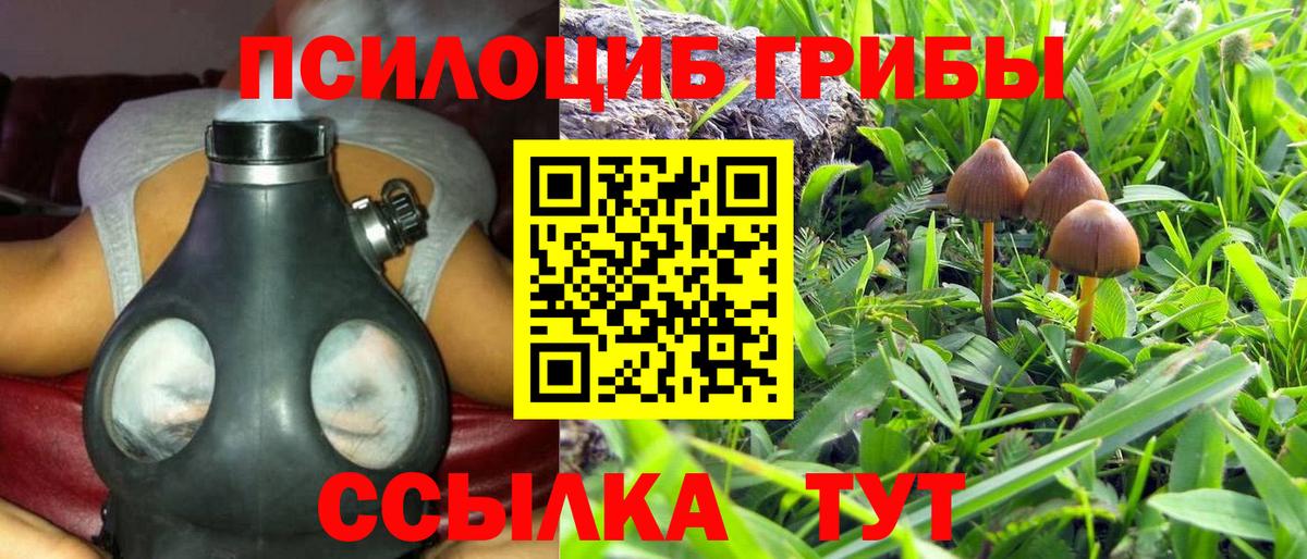 Псилоцибиновые грибы Magic Shrooms Иваново