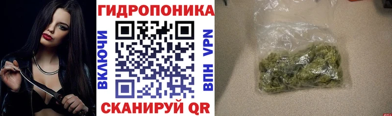 Шишки марихуана конопля  Иваново 